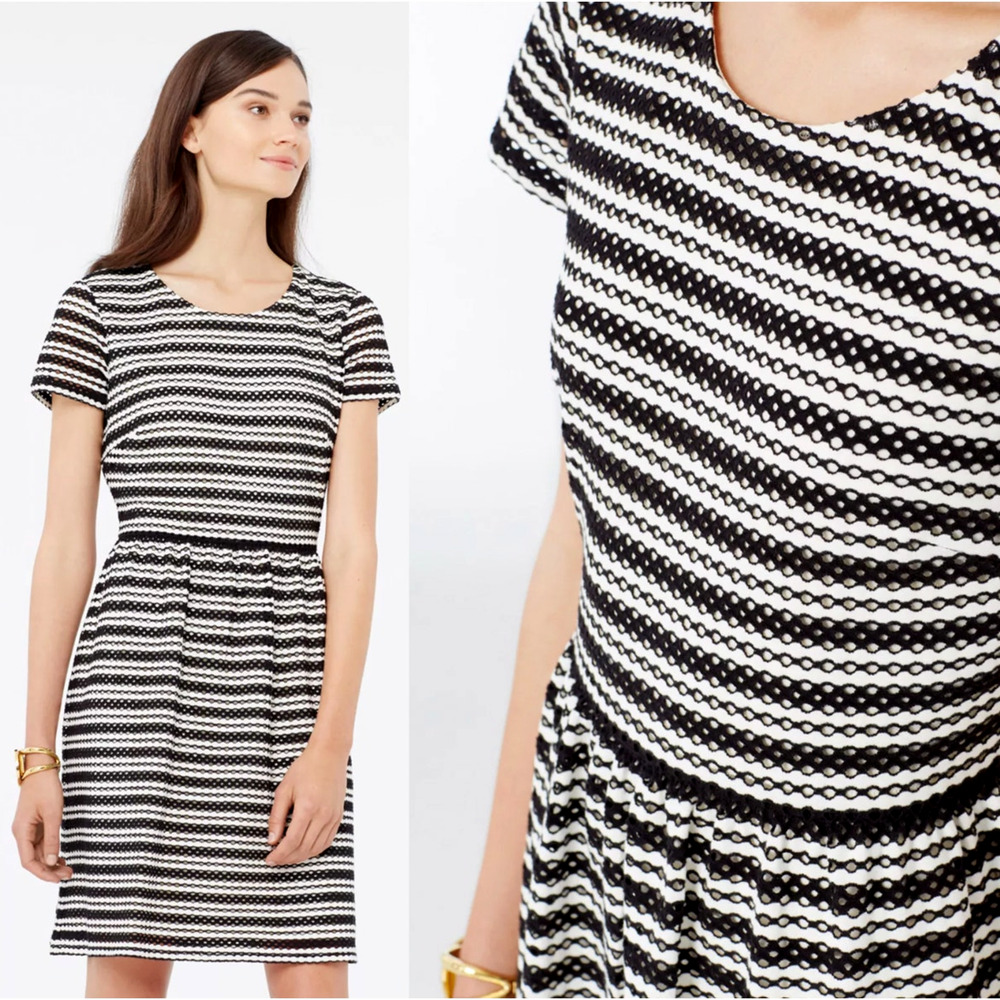 Ann Taylor 10 Cotton Eyelet Dress $149 Short Sleeve Fit & Flare Black Striped